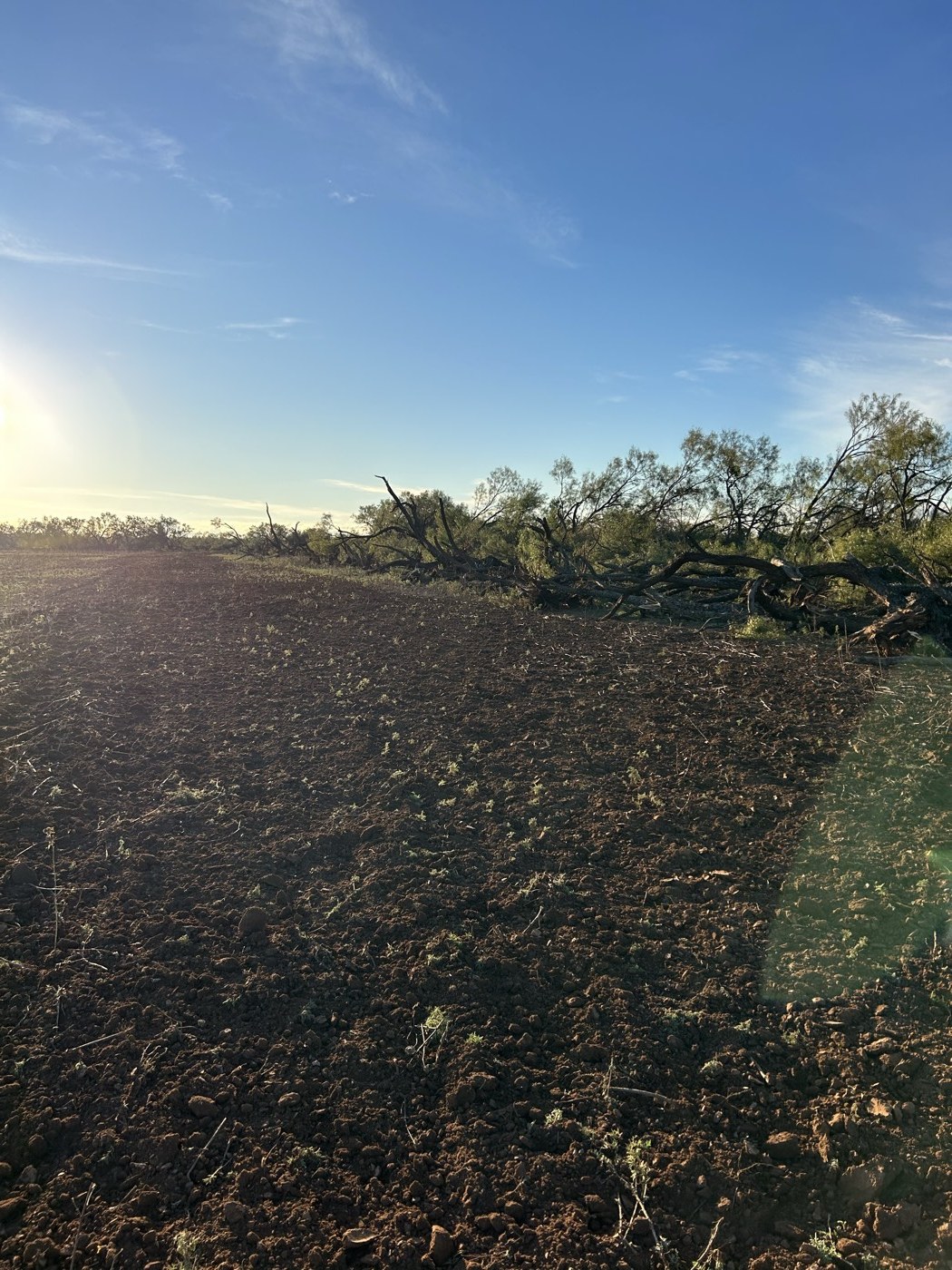 Cleared field after land clearing