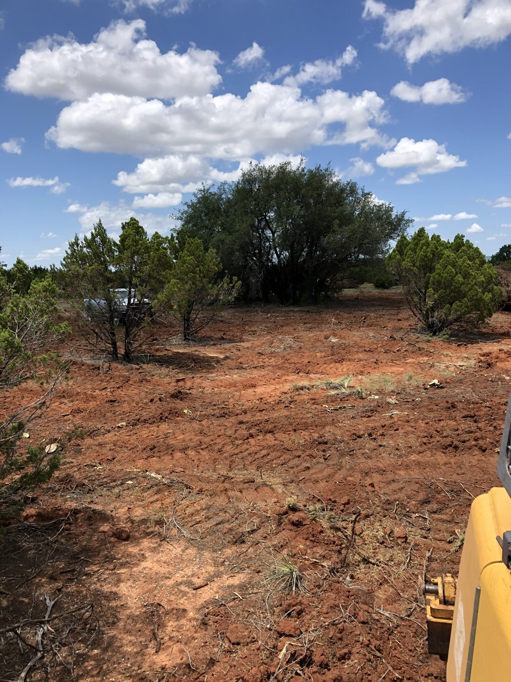 Dozer clearing mesquite and brush
