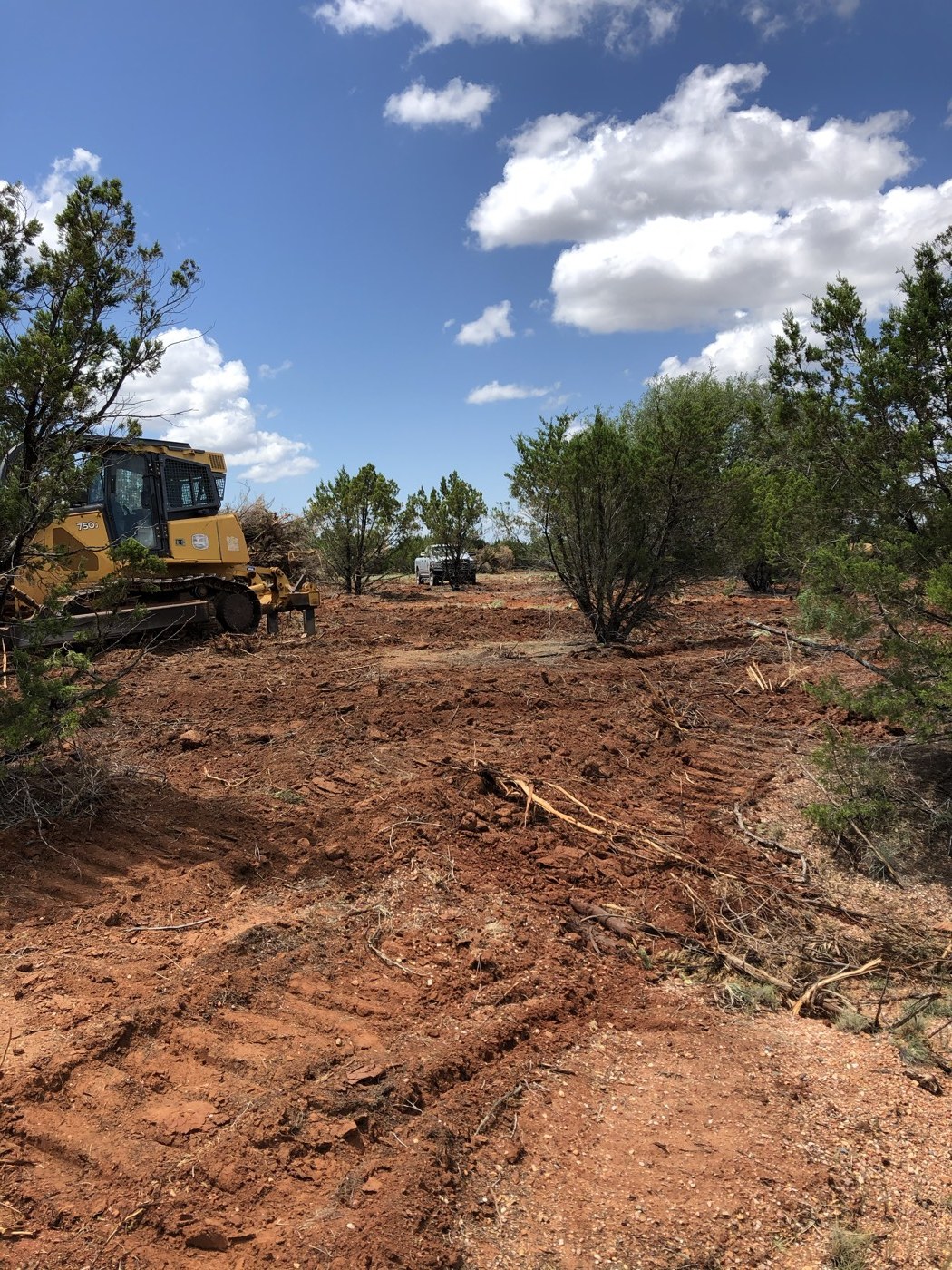 Dozer clearing dense brush