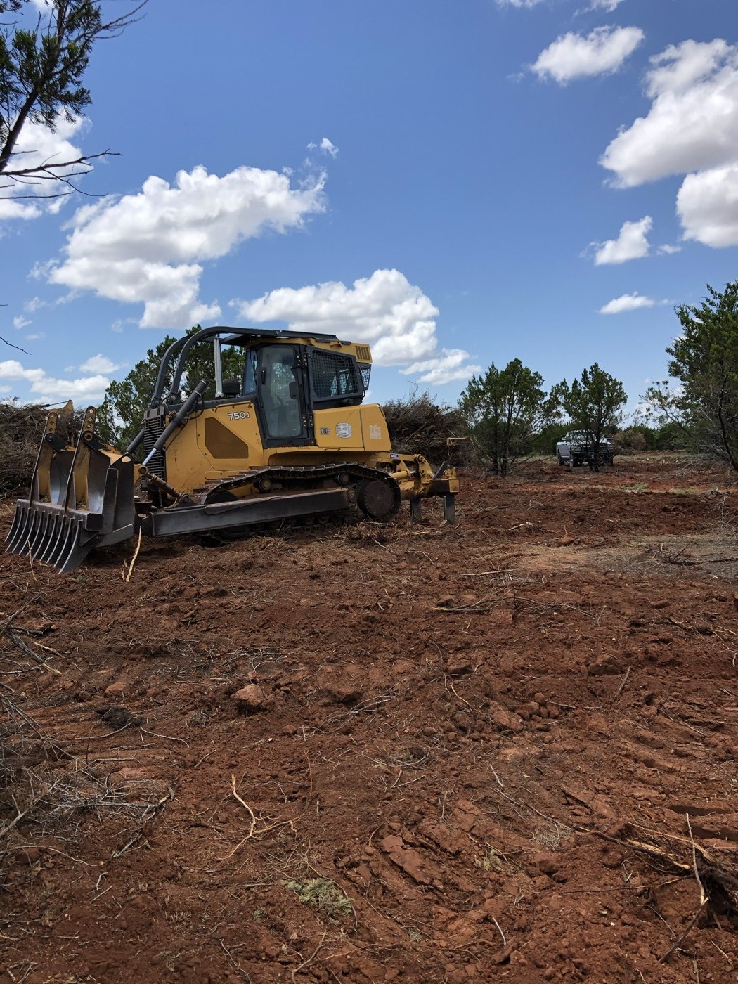 Dozer clearing brush