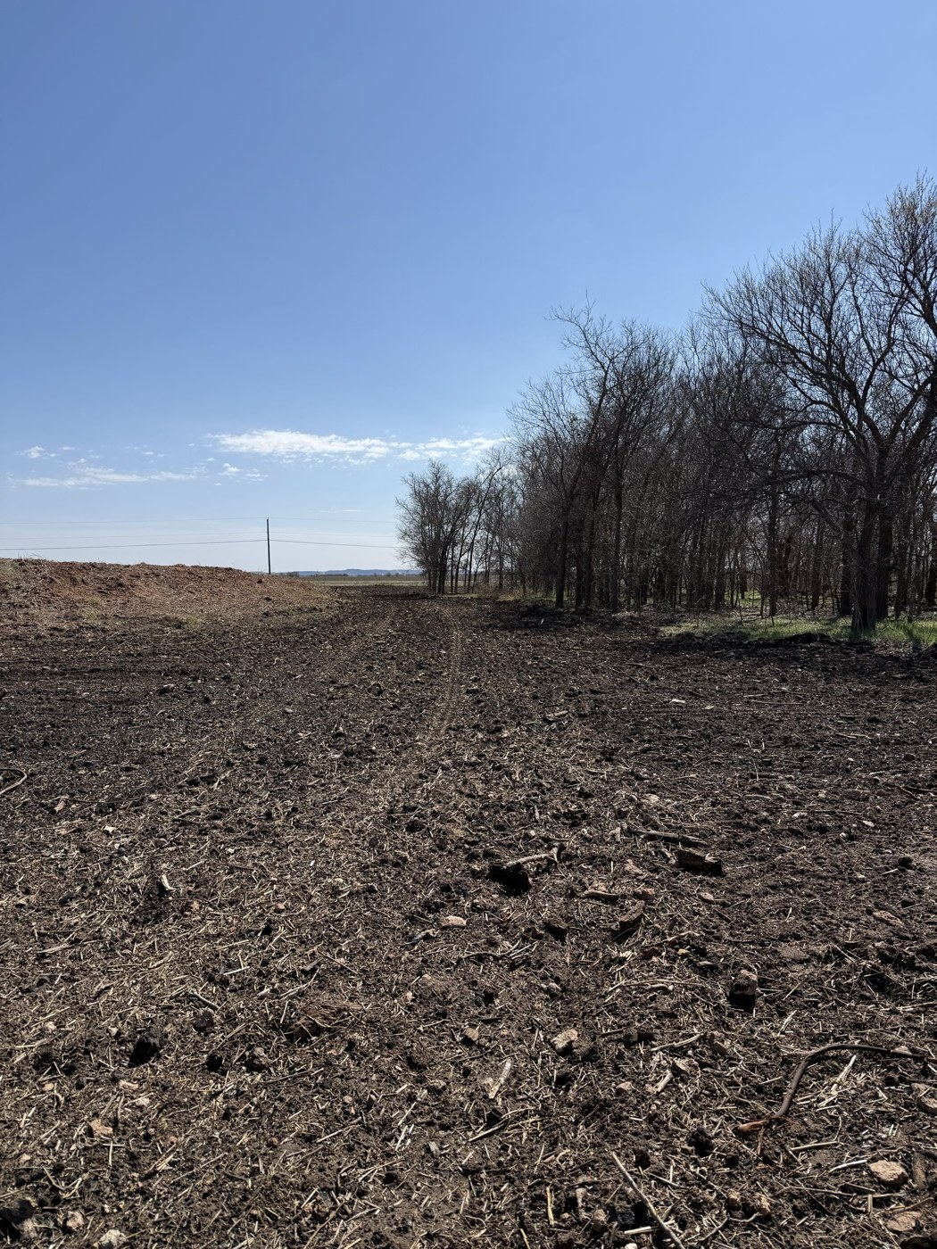 Cleared site ready for the next phase