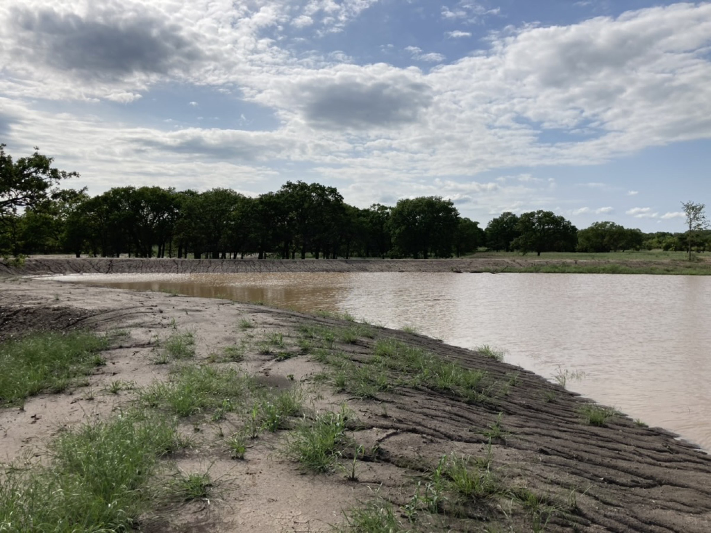 Finished pond with graded banks